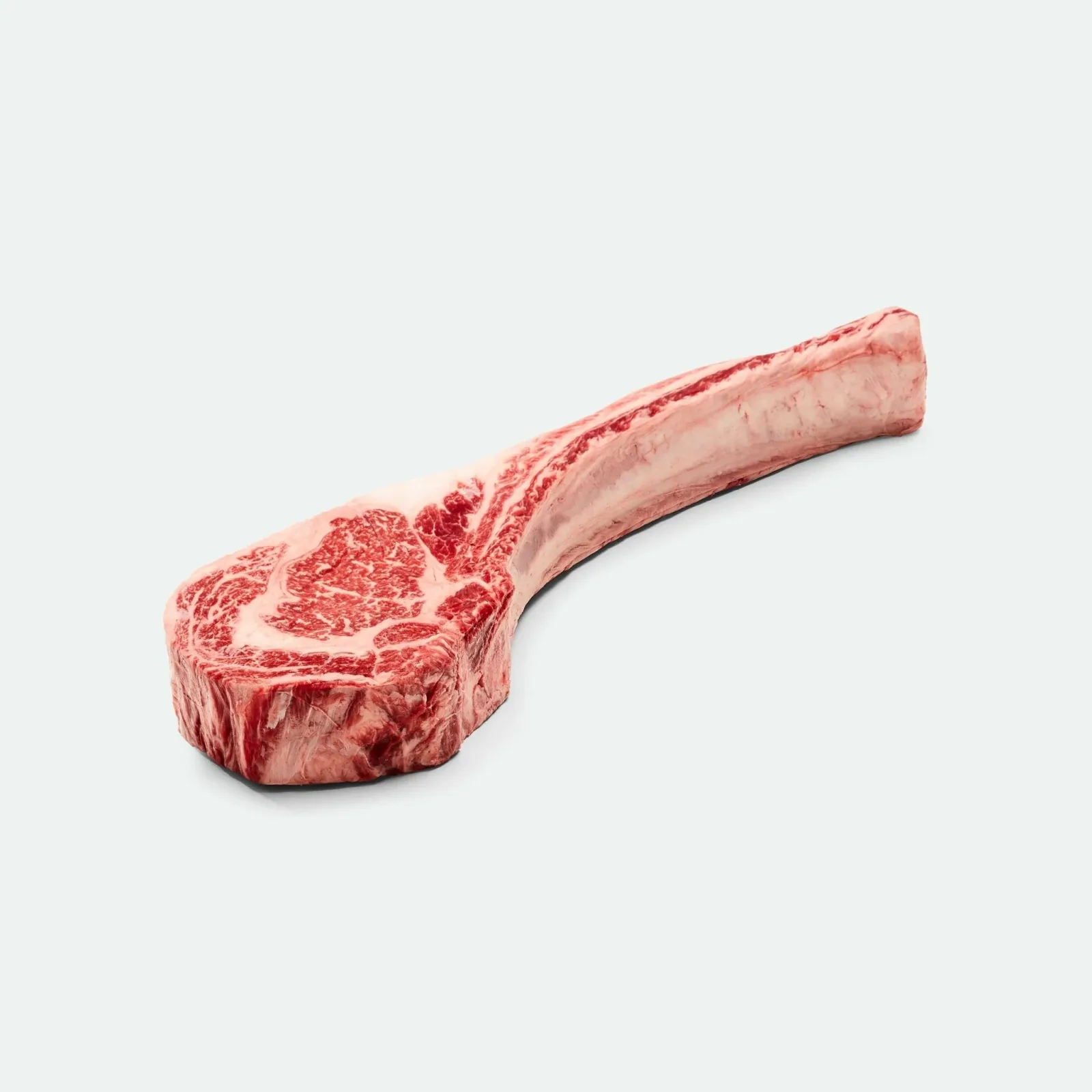 Tomahawk Tajima MB 7-8