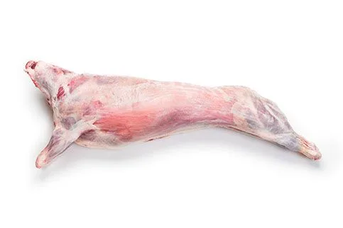 Karkas Kambing / Lamb Carcas