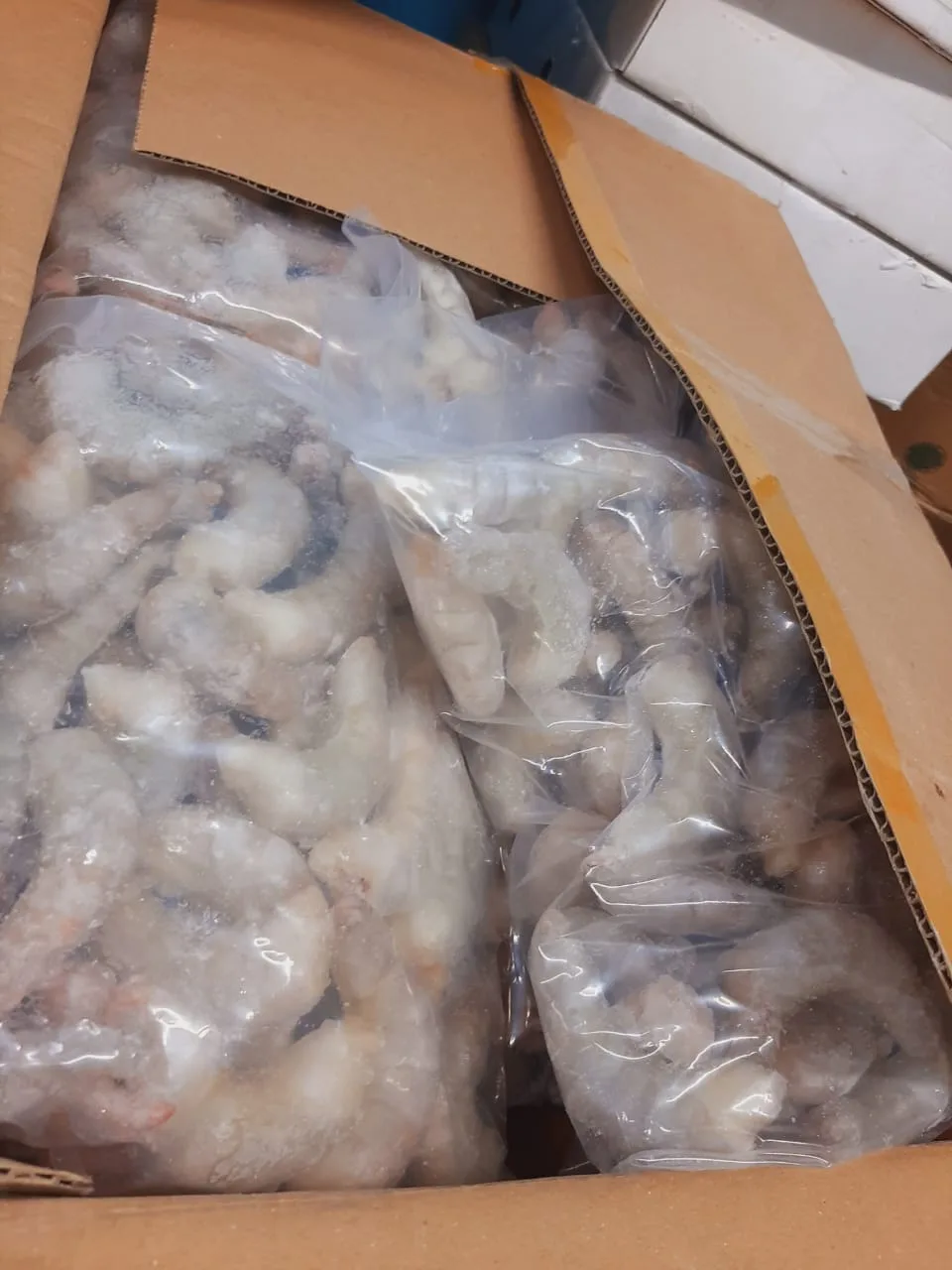 UDANG KUPAS FROZEN ( M/L/ XL )