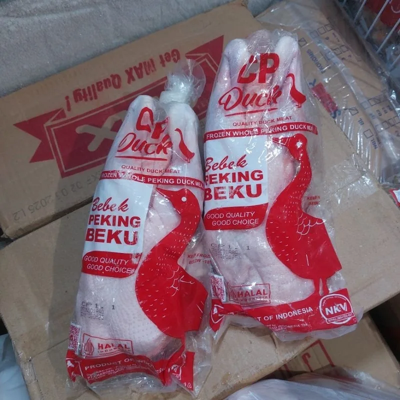 Bebek Frozen Size  1,2